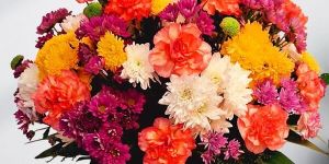Vibrant Floral Basket Arrangement
