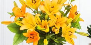 Vibrant Orange Lily Bouquet in Round Glass Vase