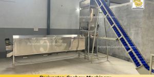 Double Head Cashew Peeling Machine