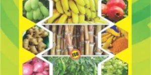 Special 52 Micronutrient Fertilizers