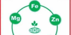 Straight Micronutrients Combi Set Fertilizers