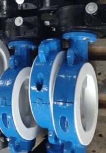 Wafer Butterfly Valve