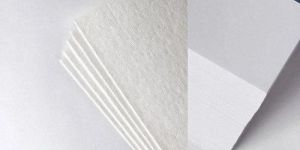 Bleached Softwood Pulp