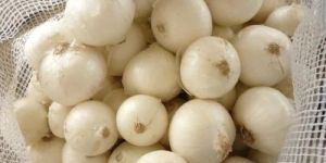 Fresh White Onion