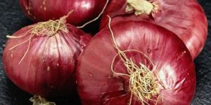 Natural Fresh Red Onion
