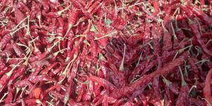 Bangaram Dry Red Chilli