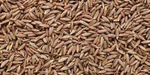 Natural Cumin Seeds
