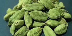 Organic Green Cardamom Seeds