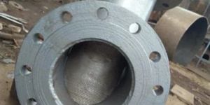 Stainless Steel Flange End Y Strainer