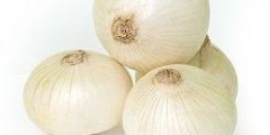 Fresh White Onion