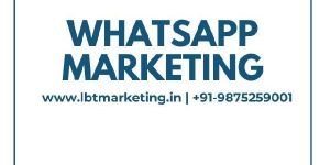 Whatsapp Marketing