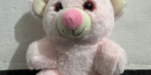 Pink Fur Teddy Bear Soft Toy