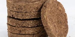 Air Purifying Cow Dung Cake