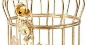 Decorative Bird Cage