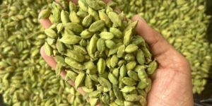 Organic Green Cardamom