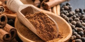 Organic Cinnamon Powder