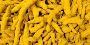 Organic Turmeric Finger