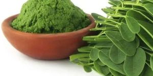 Moringa Leaves Powder