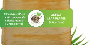 Areca Palm Leaf Square Plates (9-inch Square Plate - Pack of 25)