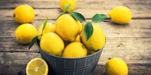 Fresh Yellow Lemon