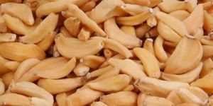 Dehydrated Garlic Flakes