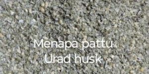 Urad Dal Husk