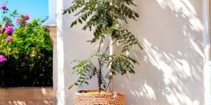 Handmade Jute Storage Basket