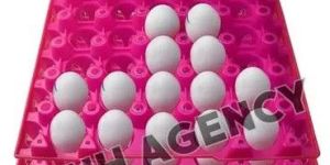 Pink Plastic Egg Tray