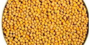 Yellow Mustard Seeds