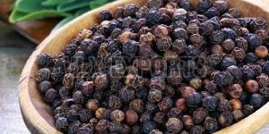 Raw Black Pepper Seeds