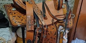 Western Horse Saddle