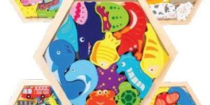 Wooden Hexa Brain Puzzle