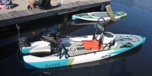 Half HP Flange Motor