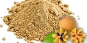 Sapota Powder