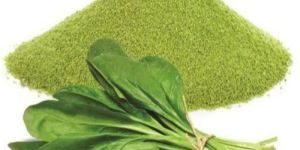 Spinach Leaf Powder