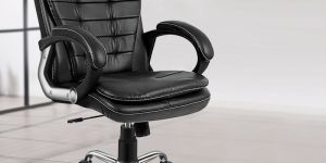 Oakcraft Majesty Medium Back Leatherette Ergonomic Office Chair