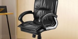Oakcraft Renown Medium Back Leatherette Ergonomic Office Chair