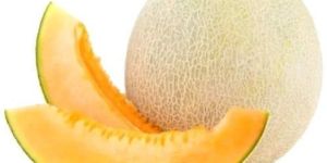 Fresh Muskmelon