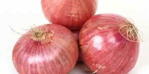 Fresh Pink Onion