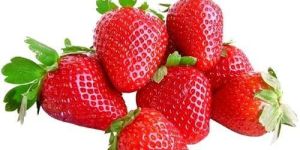 Fresh Strawberry