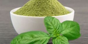 Basil Powder