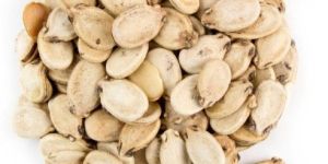 Roasted Watermelon Seeds