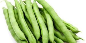 Fresh Green Beans