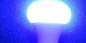 Blue Color LED Bulb