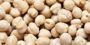 White Chickpeas