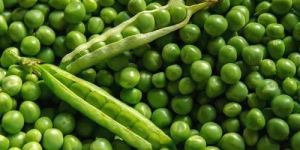 B Grade Green Peas