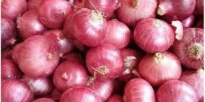 B Grade Red Onion