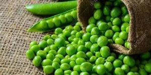Fresh Green Peas