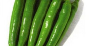 Fresh Long Green Chilli