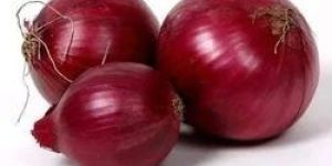 Fresh Red Onion